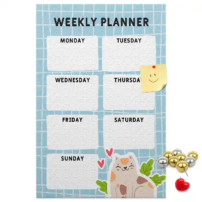 Weekly schedule cork pin board