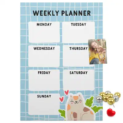 Weekly schedule cork pin board