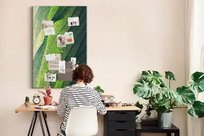 Cork pin board with natural landscape lines