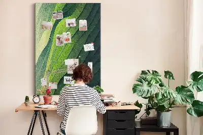 Cork pin board with natural landscape lines