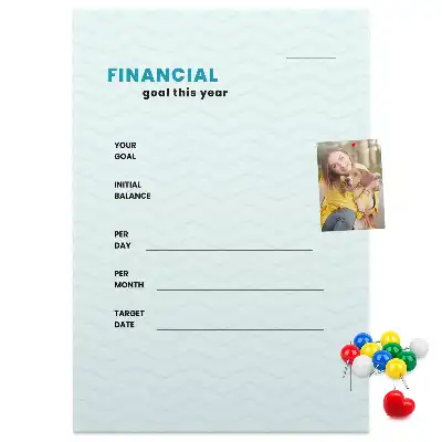 Wall cork memo board Budget planner