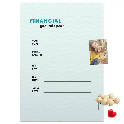 Wall cork memo board Budget planner