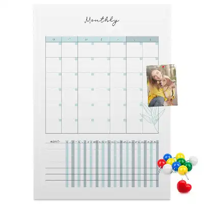 Cork pin board Monthly planner