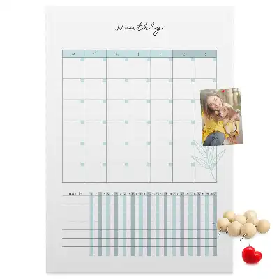 Cork pin board Monthly planner