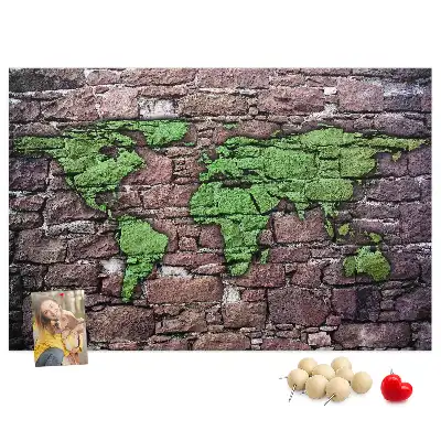 World Map Cork Memo Board