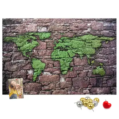 World Map Cork Memo Board