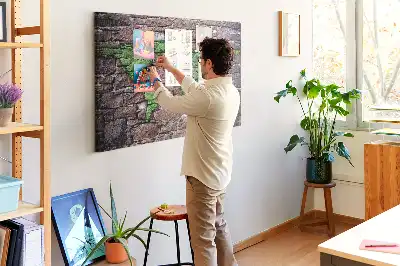 World Map Cork Memo Board