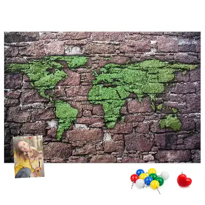 World Map Cork Memo Board
