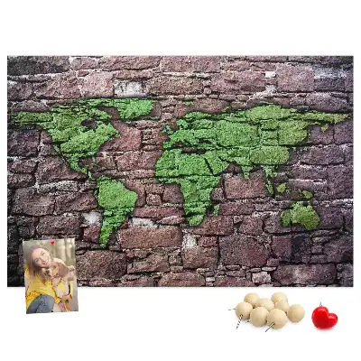 World Map Cork Memo Board