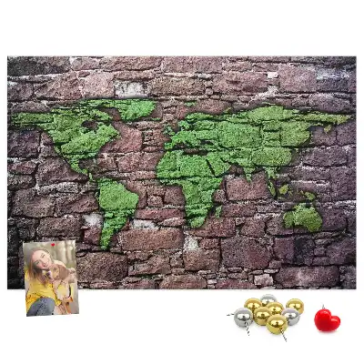 World Map Cork Memo Board