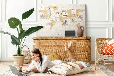 Printed Cork Board Political World Map