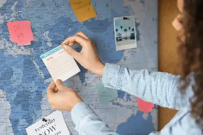 Political World Map Cork Memo Board
