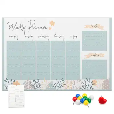 Cork memo board Weekly schedule