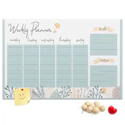 Cork memo board Weekly schedule