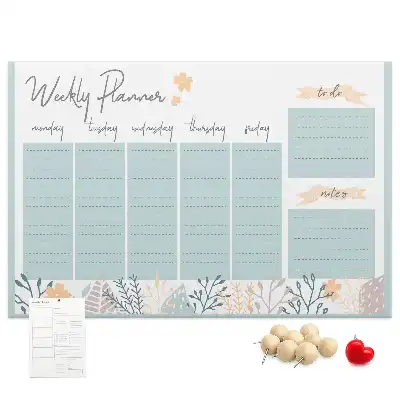 Weekly schedule cork memo board