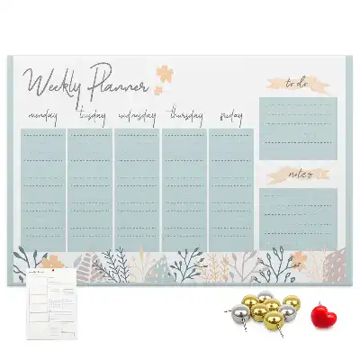 Weekly schedule cork memo board