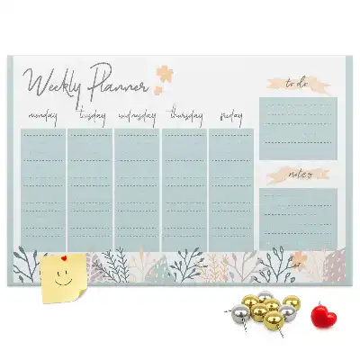 Cork memo board Weekly schedule