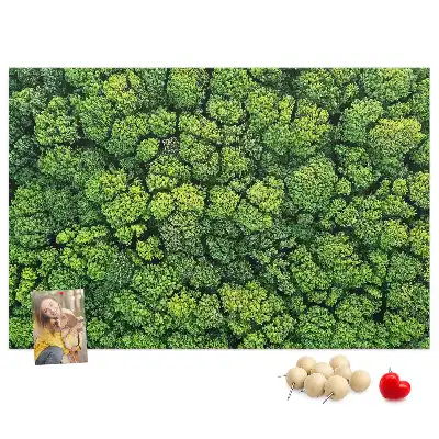 Forest from a bird's eye view printed cork memo board