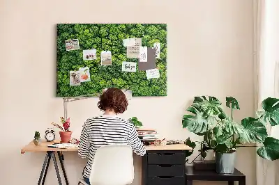 Forest from a bird's eye view printed cork memo board