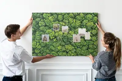 Forest from a bird's eye view printed cork memo board