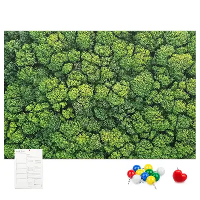 Forest from a bird's eye view printed cork memo board