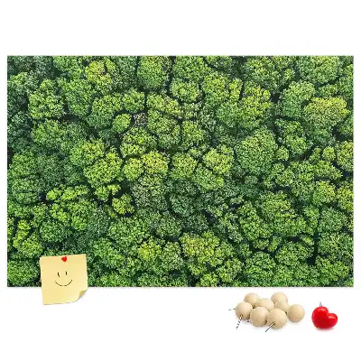 Forest from a bird's eye view printed cork memo board