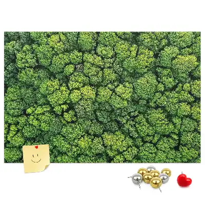Forest from a bird's eye view printed cork memo board
