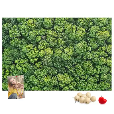 Forest from a bird's eye view printed cork memo board