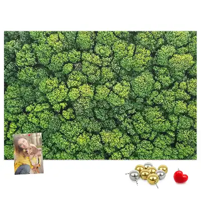 Forest from a bird's eye view printed cork memo board