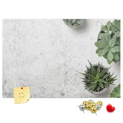 Printed Cork Board with Decorative Plants