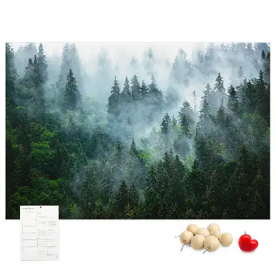 Cork memo board Misty forest