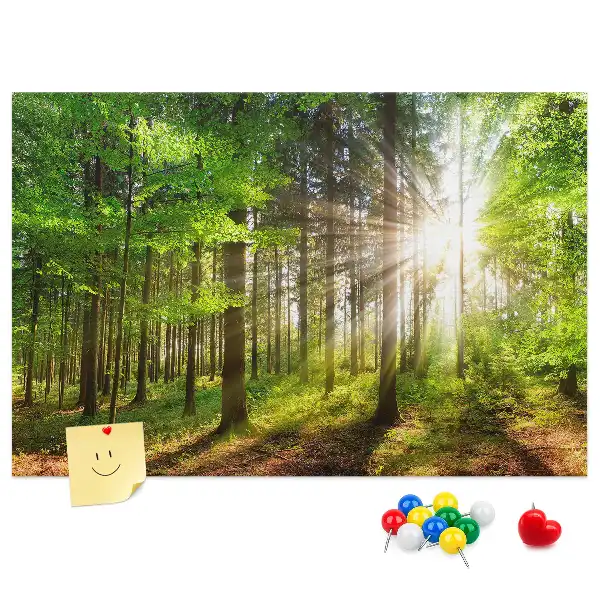 Forest Sunrise Printed Cork Board