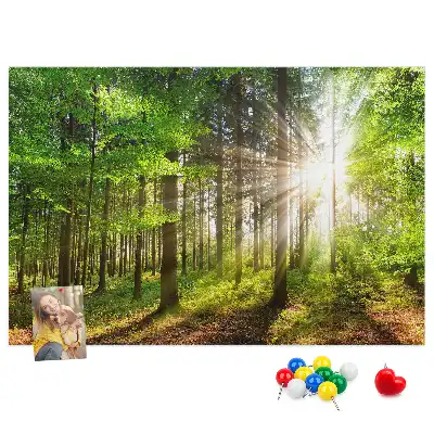 Forest Sunrise Printed Cork Board