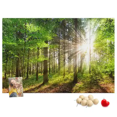 Forest Sunrise Printed Cork Board
