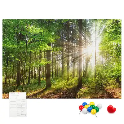 Forest Sunrise Printed Cork Board