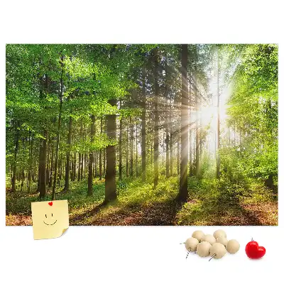 Forest Sunrise Printed Cork Board