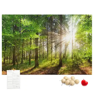 Forest Sunrise Printed Cork Board