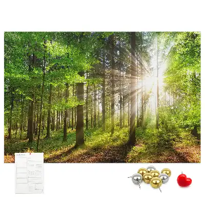 Forest Sunrise Printed Cork Board