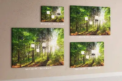 Forest Sunrise Printed Cork Board