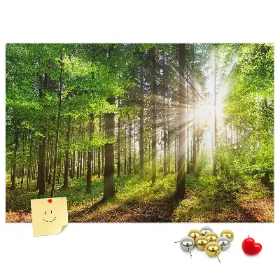 Forest Sunrise Printed Cork Board