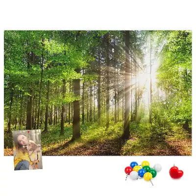 Forest Sunrise Printed Cork Board