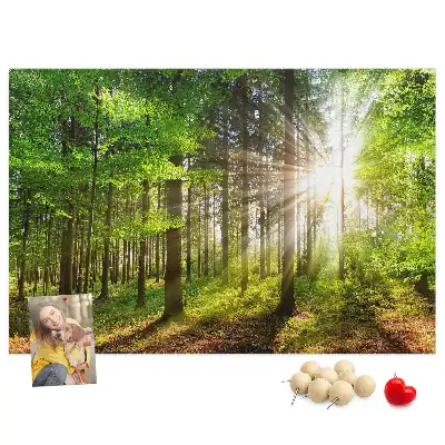 Forest Sunrise Printed Cork Board
