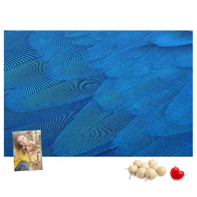 Printed Cork Memo Board with Bird Feather Design