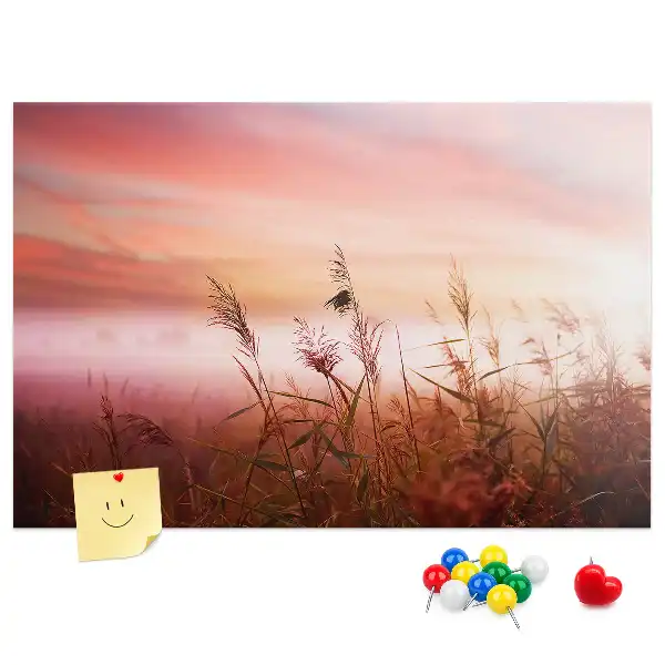 Printed Cork Memo Board Misty morning
