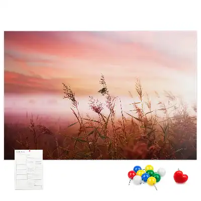 Printed Cork Memo Board Misty morning