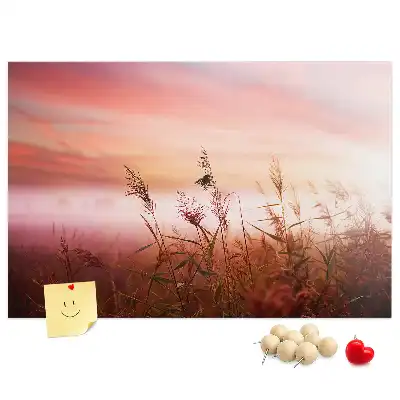 Printed Cork Memo Board Misty morning