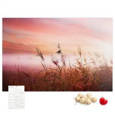 Misty Morning Printed Cork Memo Board