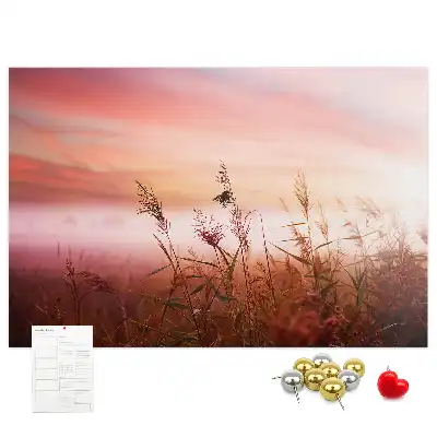 Misty Morning Printed Cork Memo Board