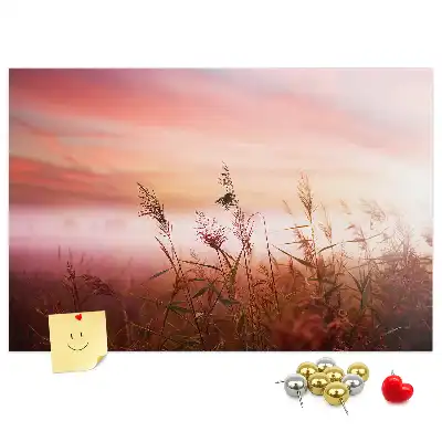 Printed Cork Memo Board Misty morning