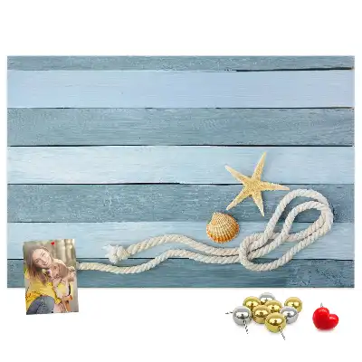 Cork Memo Board with Seashell Stripes